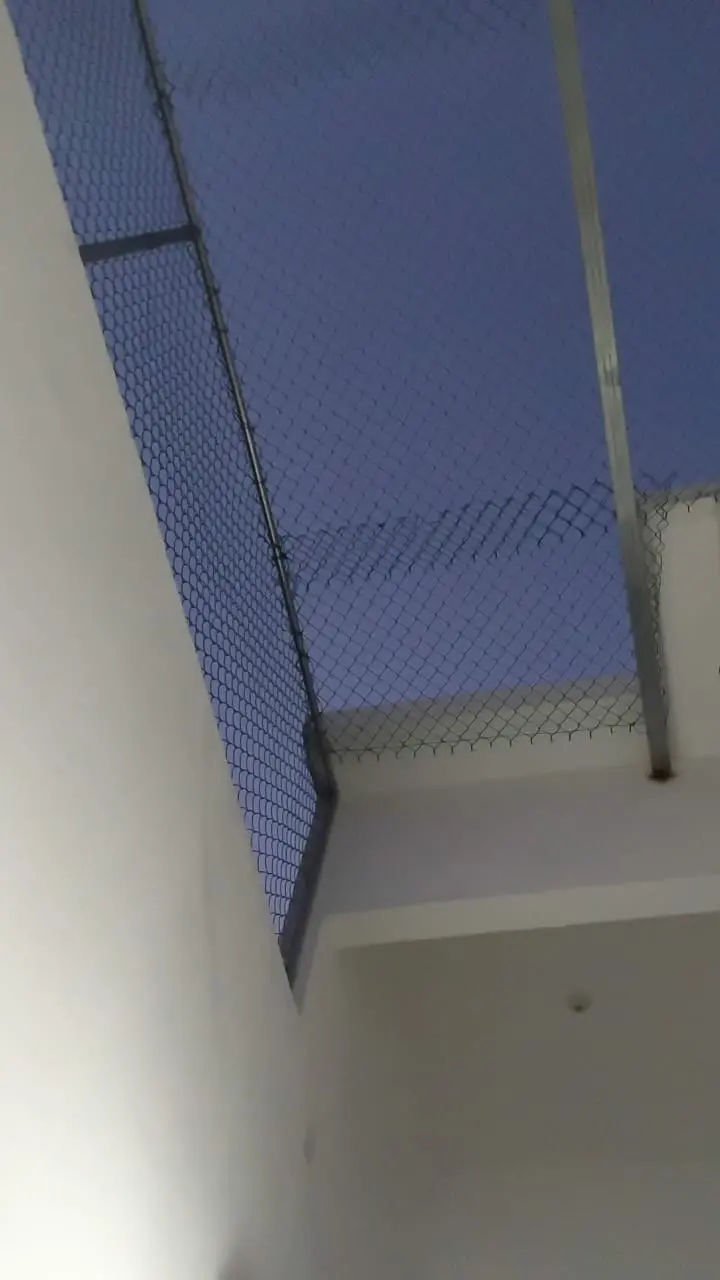 Malla antipájaros tendida entre dos edificios, vista desde abajo contra el cielo