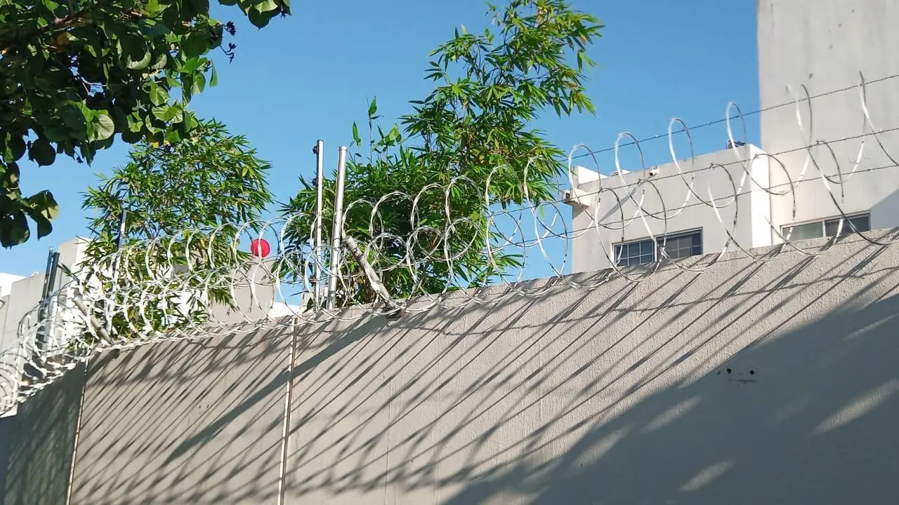 Concertina galvanizada en espiral sobre la barda de una casa, con árboles detrás